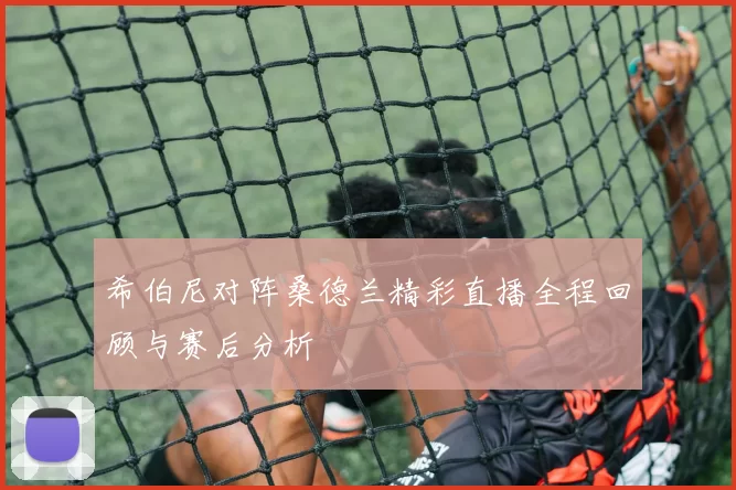 希伯尼对阵桑德兰精彩直播全程回顾与赛后分析