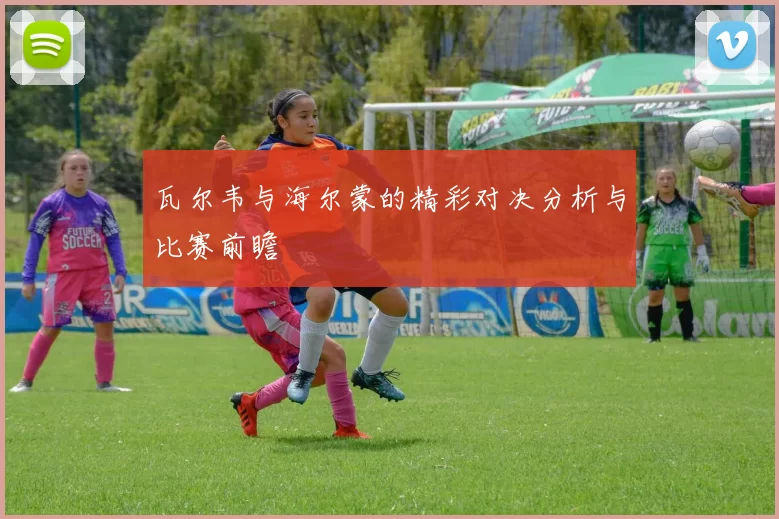 瓦尔韦与海尔蒙的精彩对决分析与比赛前瞻