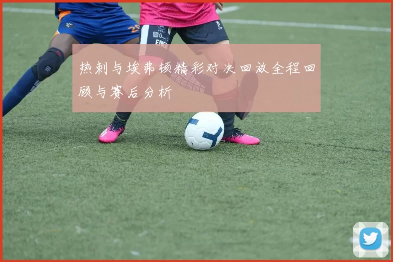 热刺与埃弗顿精彩对决回放全程回顾与赛后分析