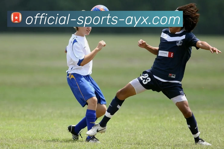 爱游戏发展历程